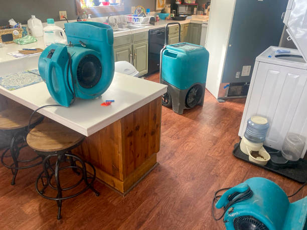 Best Ceiling water damage repair  in Vandalia, IL
